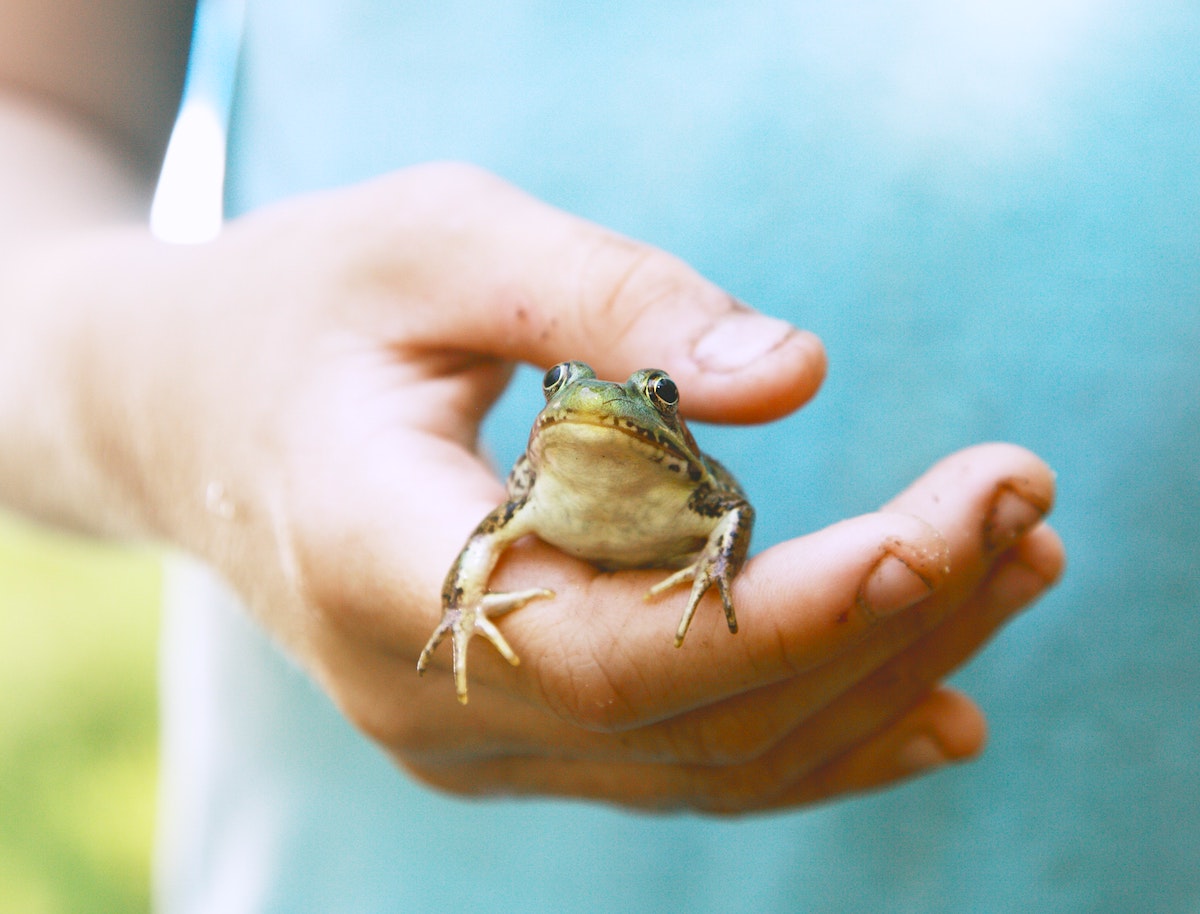 Sustainability and Ethical Practices: Key Considerations for Ecommerce Brands