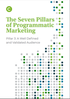 The Seven Pillars of Programmatic Marketing: Pillar 3: A Well Defined and Validated Audience