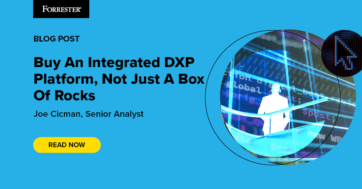 Buy An Integrated DXP Platform, Not Just A Box Of Rocks