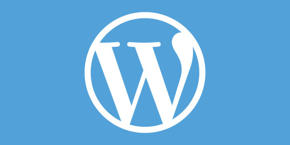 The Small Business Owner's Guide to WordPress Tips and Tricks