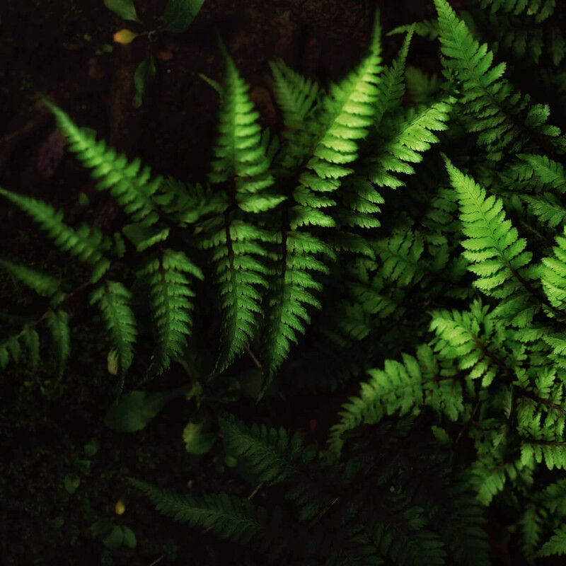 Circular Economy 101: what you need to know