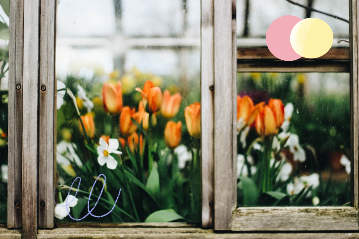 Instagram for small business: How to grow in 2022 and beyond