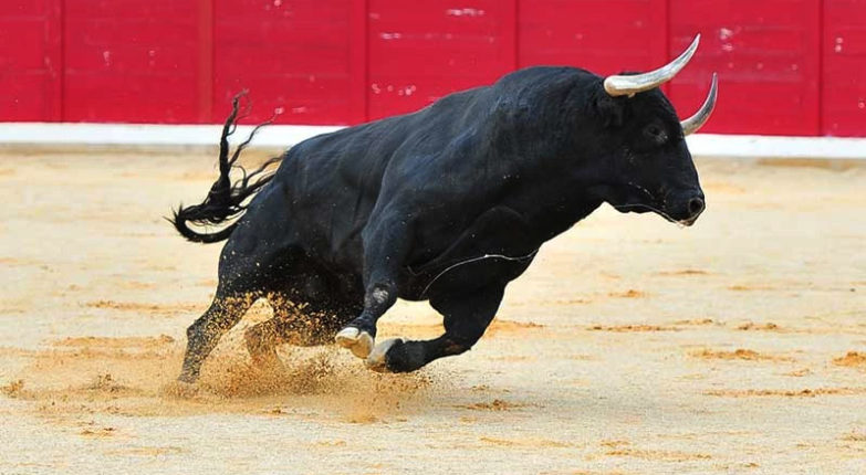 Ideas that Create Momentum (Are Not the Ideas We're Handed by Others)