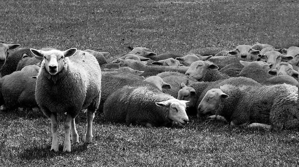 Email design 101 - How to create a beautiful email