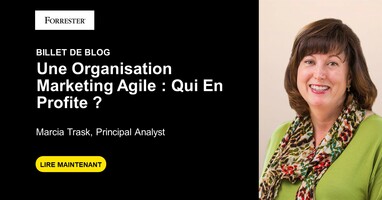 Une Organisation Marketing Agile : Qui En Profite ?