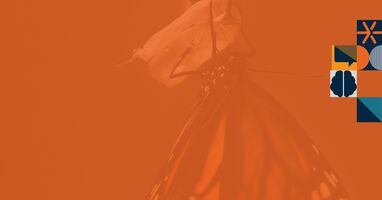 Strategy is a Plan for Change. Let's Embrace That.