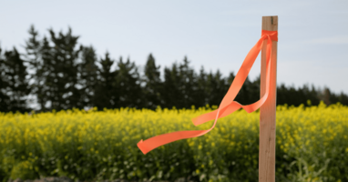 Amazon Ads Data Lays Down a Marker for Retail Media Advertising