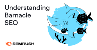 Understanding and Leveraging Barnacle SEO