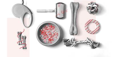 When Implementing Global Programs With a Localized Strategy Yields 25% Increase in Average Order Value