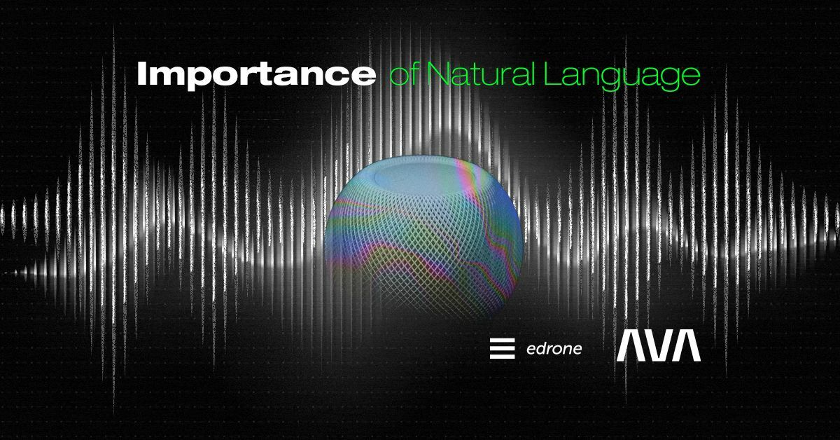 Why the Natural Language is so Important?