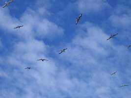 14 Twitter Hacks That Will Turn You Into a Twitter Pro