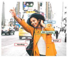 What is Tagging and Why is it so Important?