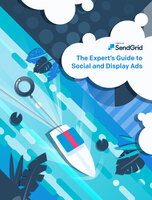 The Expert's Guide to Social and Display Ads 