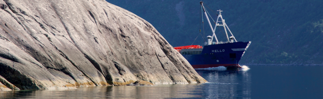 What top welcome emails have in common