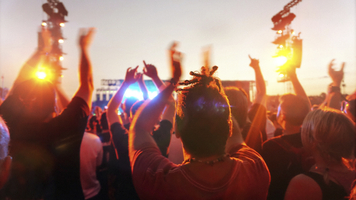 Music Festival Demographics and Insights