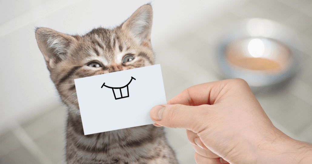 Funny marketing: Win over your audience with humor