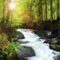 4 benefits of a single source of truth