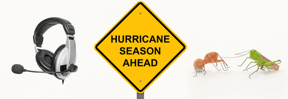 Sales by Phone, Hurricanes, Ants, and Grasshoppers