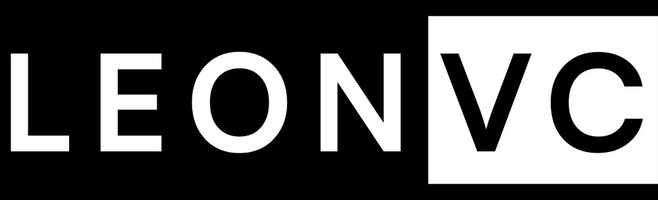 From Capital to Culture: Unveiling the Challenges of Early-Stage Founders