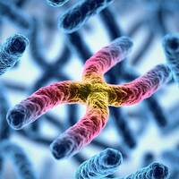 Cells4Life | SugarCRM UK