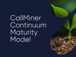 Continuum Maturity Model