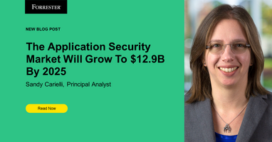 The Application Security Market Will Grow To $12.9 Billion By 2025