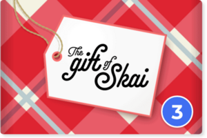 Unwrapping Skai's 'Gifts' for a Very Merry Holiday Season: Part 3, Paid Search Keepsakes