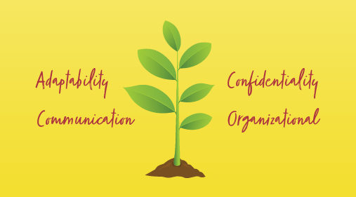 The most important HR skills and how to master them