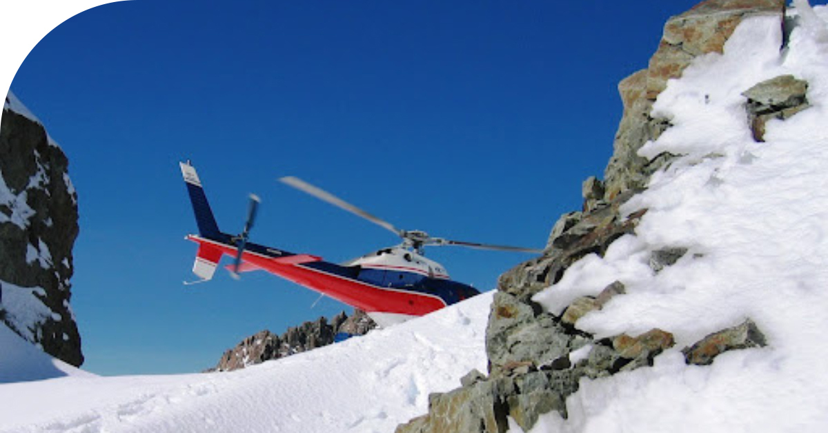 Building Your Dream Team: Who's On Your Support Squad?