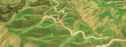 We're Getting a Head Start on Diversity