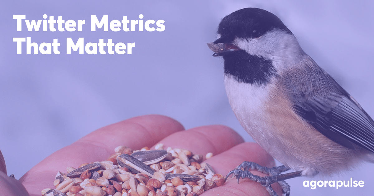 Twitter Metrics That You Should Know