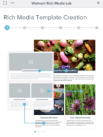 Rich Media Template for Walmart