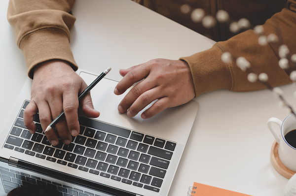 46 Best Free Minimalist WordPress Themes for 2022