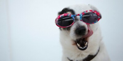 10 Things Meme Accounts Get Right About Instagram Marketing