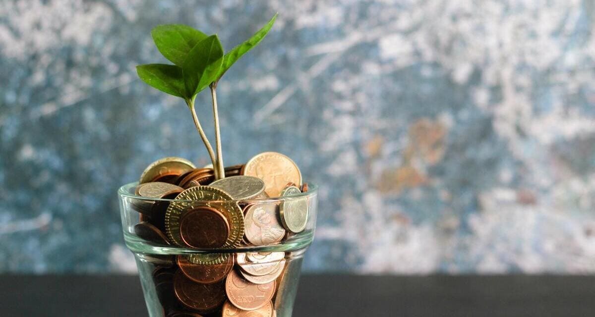 How to gauge (and improve) your ROI