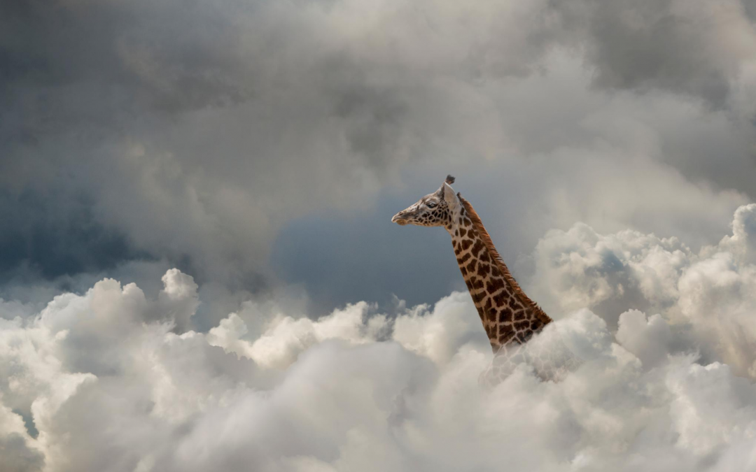 Work Smarter, Not Harder – The Only Way to Beat Your Competitors | Zymplify