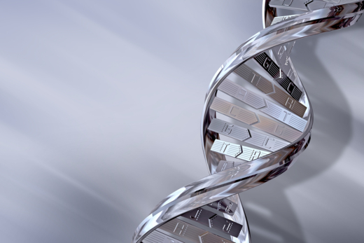 Hiring sales people with the right sales DNA