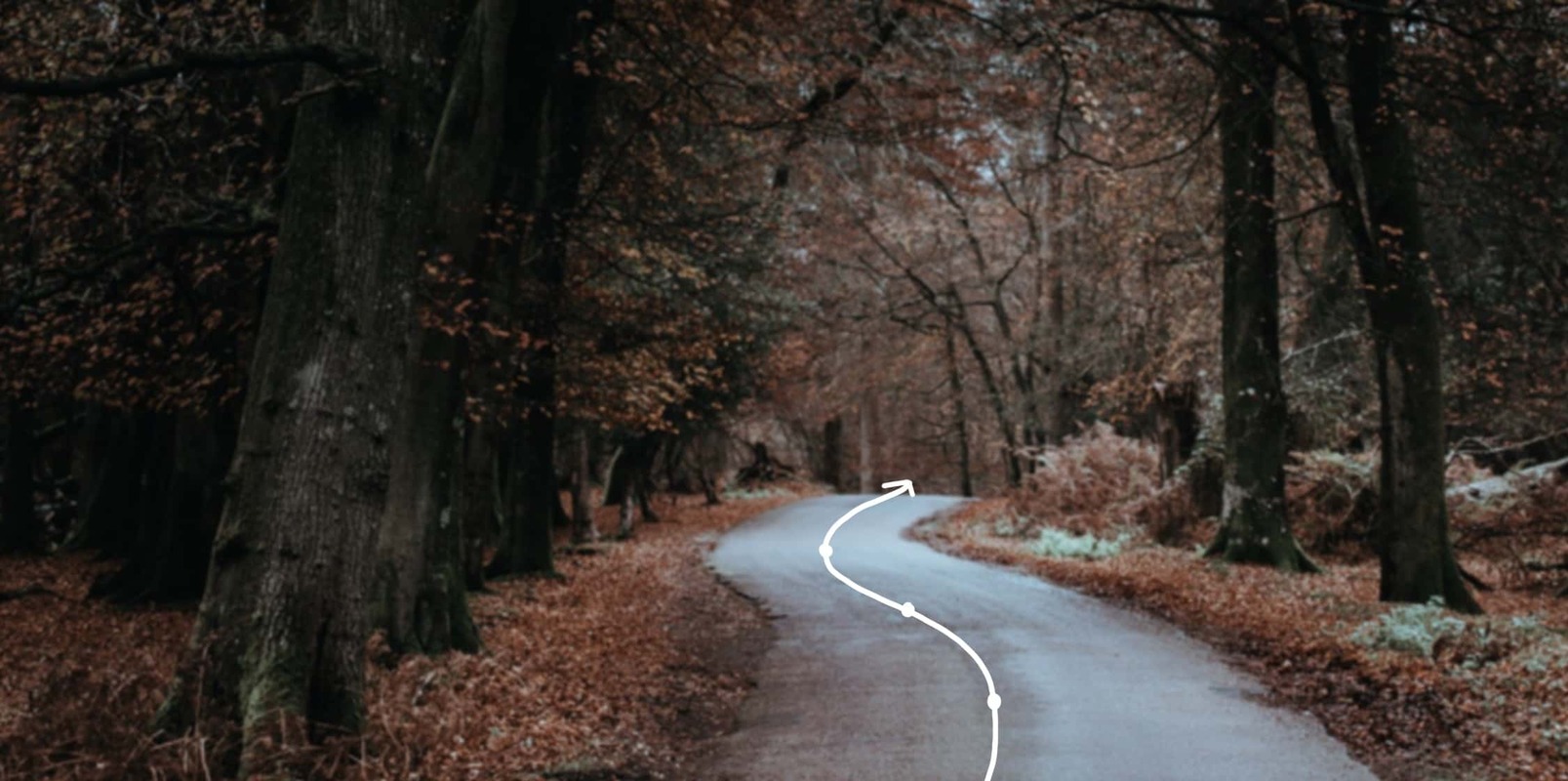 Personal Goals: How To Get Out Of Your Own Way And Set Them