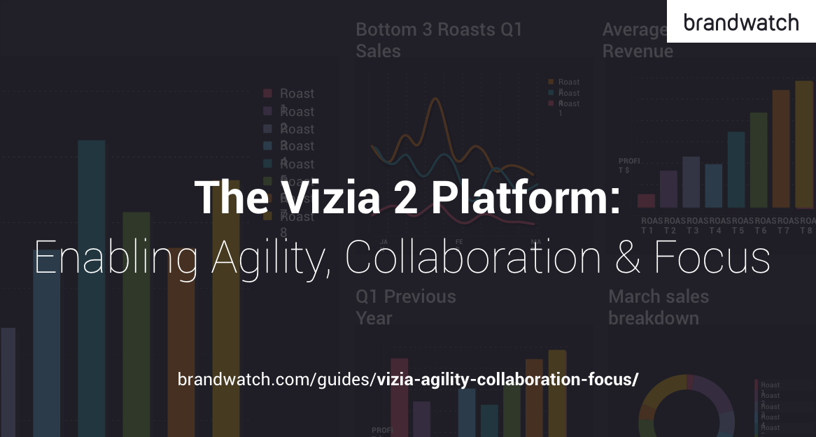 Vizia: Enabling Agility, Collaboration, & Focus