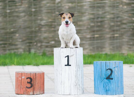 The 13 Best Marketing Strategies for Small Businesses in 2023