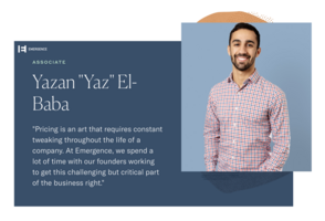 Pricing software is an art that requires constant tweaking through the life of a company. 