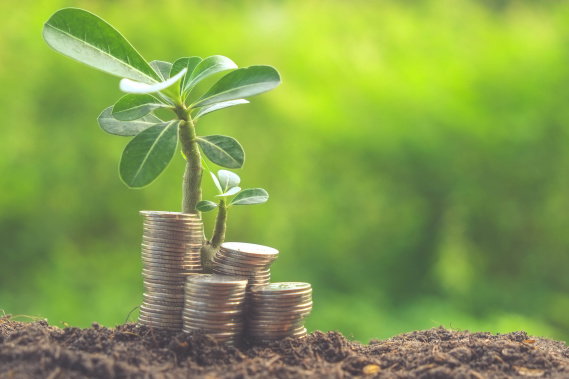 Stage 5 Business - Growth Companies