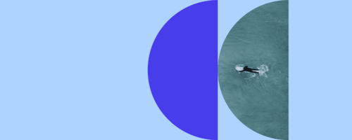 The summer of sport 2024: How can you capitalise with your brand marketing?