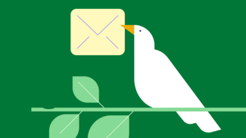  How to write an apology for an email sent in error