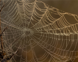 Deliverability Tricks and Treats | Twilio SendGrid