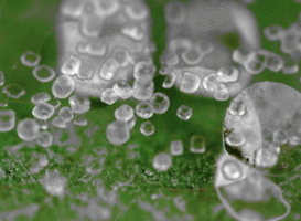 Link Diversity: The Mark of a Trusted, Relevant, 'Natural' Link Profile