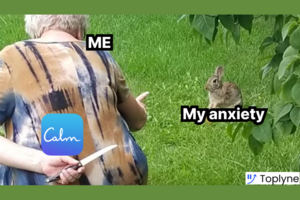 The $2B Calm Rocketship