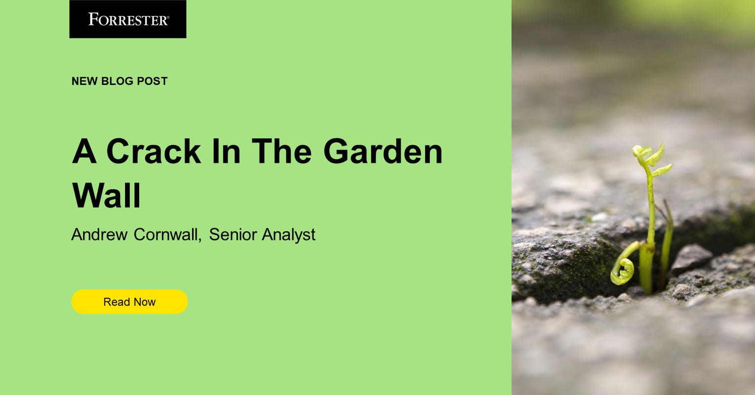 A Crack In The Garden Wall