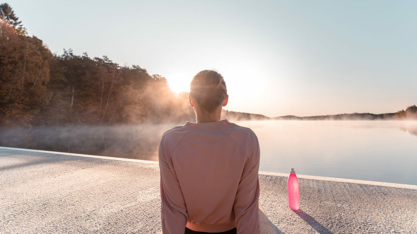 A Cohesive Digital Strategy Leads to an Impressive ROAS - Basis Technologies