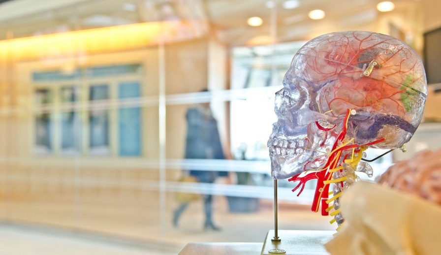 7 Psychological Triggers Every Marketer Should Master